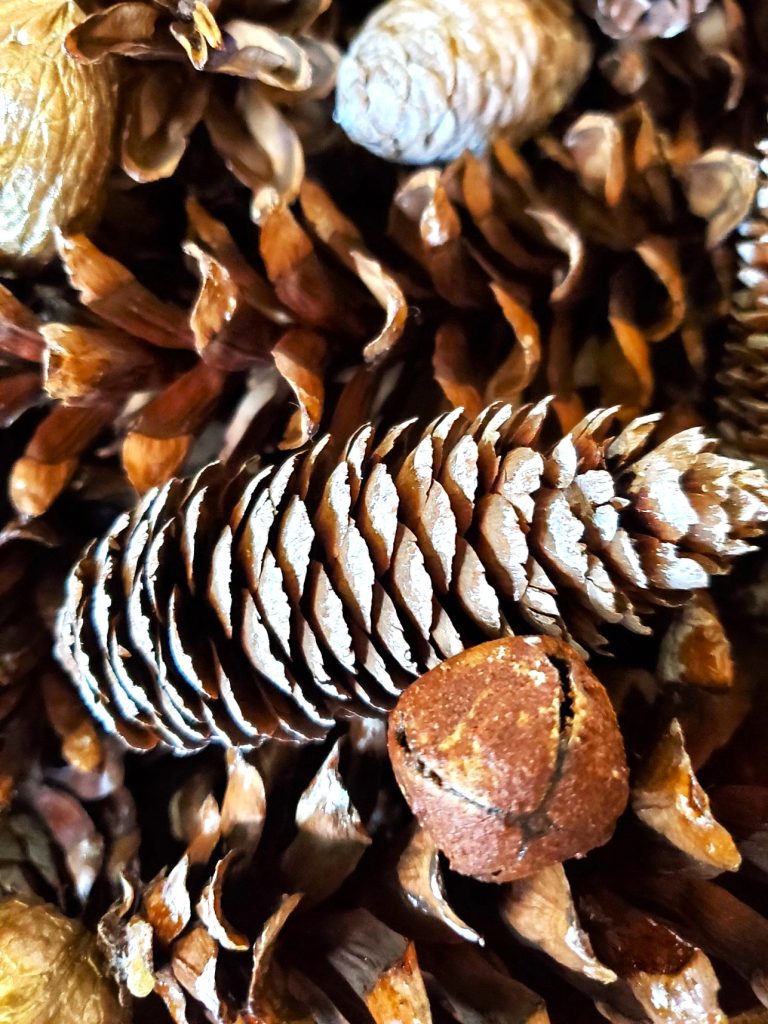 spice-up-jingle-bells-with-Mod-Podge-small-size-bell-and-pinecones