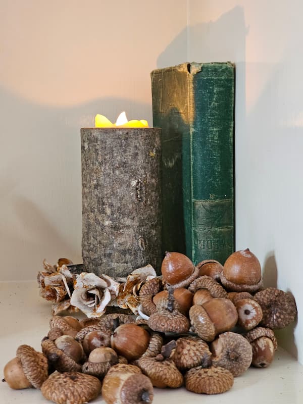book-acorns