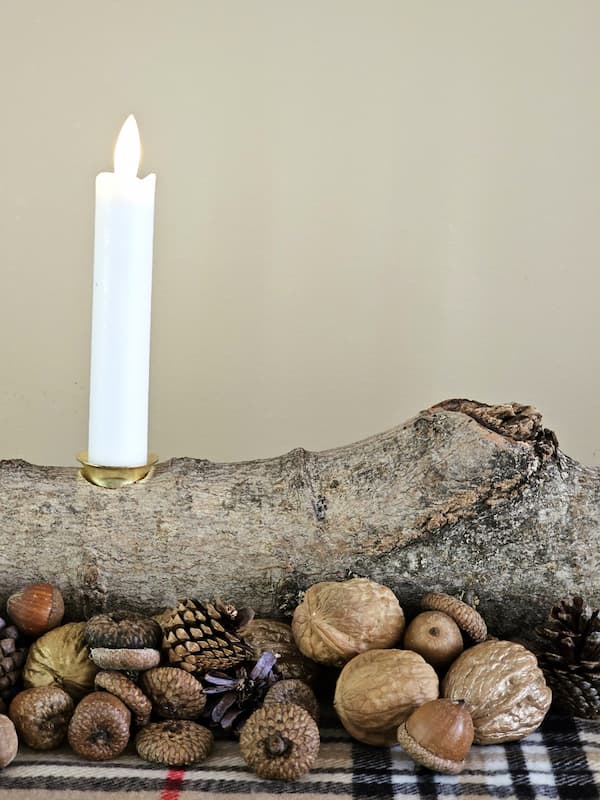 one-candle-acorns-and-walnuts