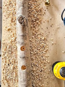 all-holes-drilled-into-log