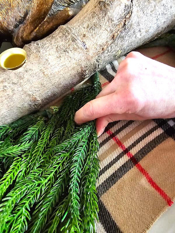 me-adding-more-greens