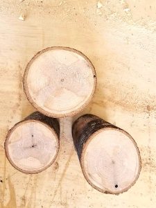showing-the-grain-of-log
