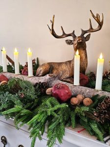 the-entire-log-and-candles