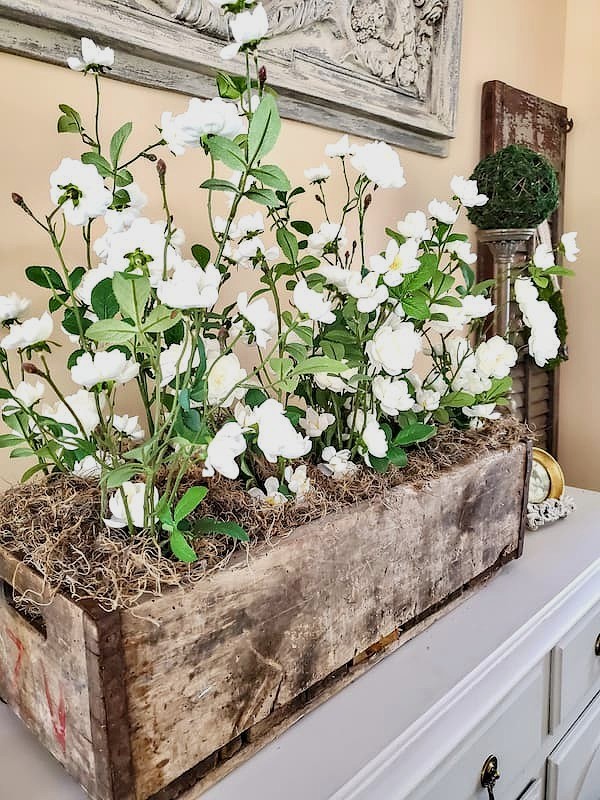 old-wood-crate-filled-with-white-roses