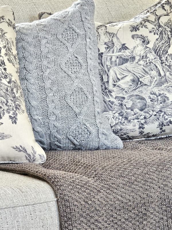 toile-and-textrured-pillows