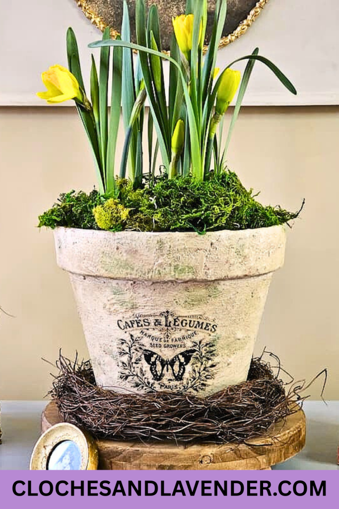 NATURAL-SPRING-DECORATING-IDEAS-PIN