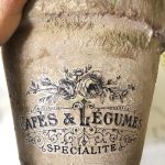 easily-age-terracotta-posts-using-lime-showing-trannsfer-finished-featured-image