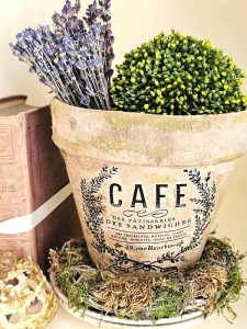 closer-look-at-pot-with-rub-on-transfer