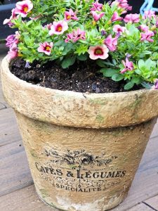 closer-look-at-pot-with-rub-on-transfer-outside