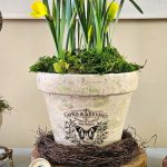 natural-spring-decorating-daffodils-aged-clay-pot-featured-image