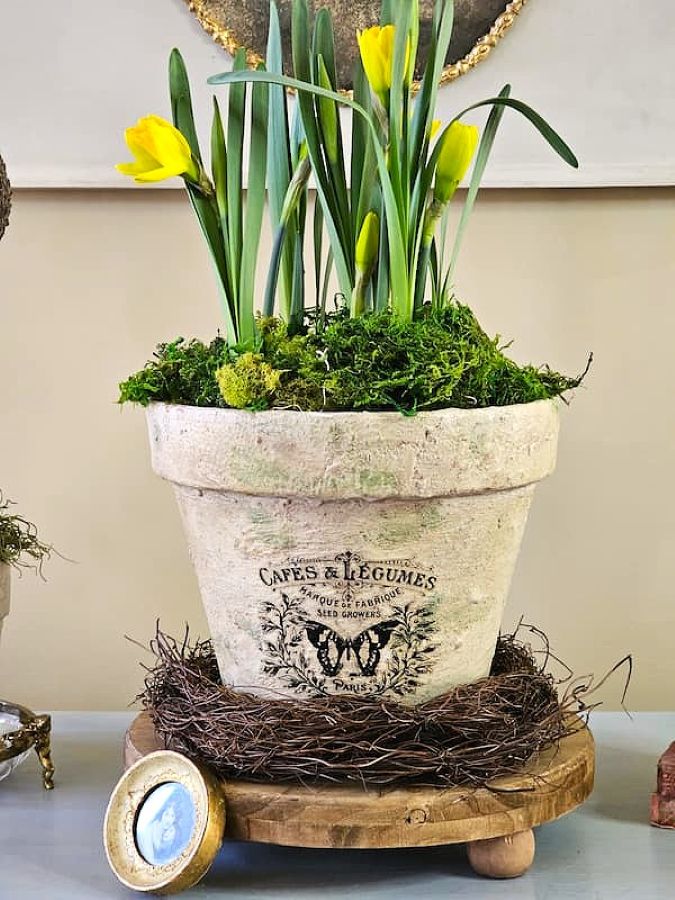natural-spring-decorating-daffodils-aged-clay-pot-featured-image